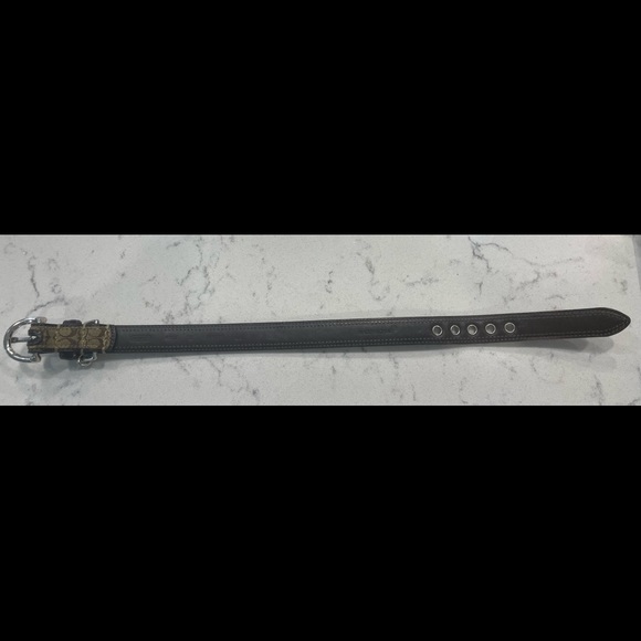 Coach dog collar 16x3/8in brown on leather. Used, briefly. Washed/sanitized. - Picture 4 of 6